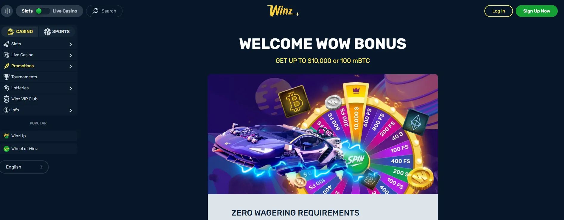 Winz home page