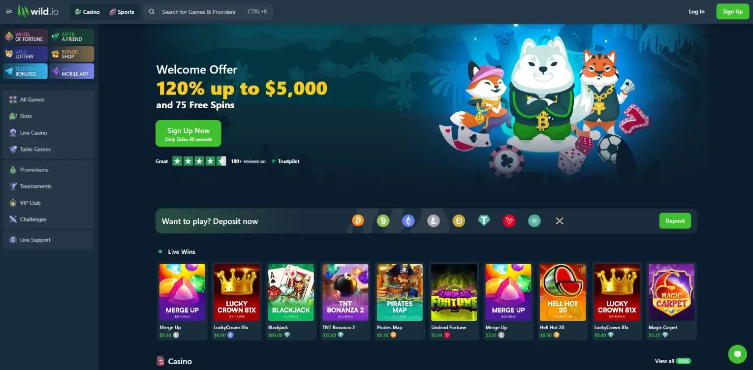 Wild.io home page