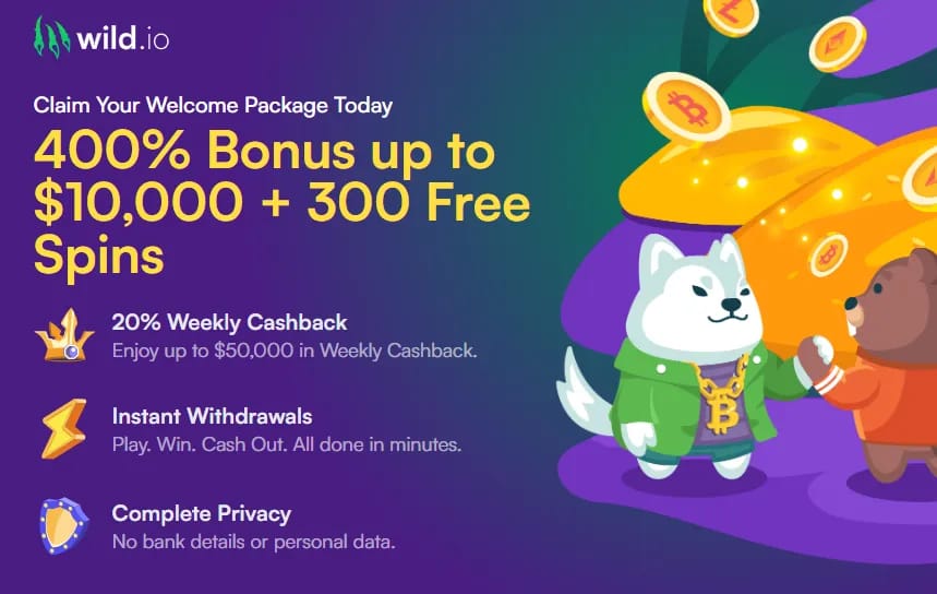 Wild.io home page